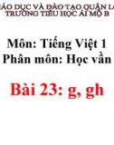 Bài giảng môn Tiếng Việt lớp 1 sách Cánh diều năm học 2019-2020 - Bài 23: g, gh (Trường Tiểu học Ái Mộ B)