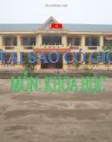 Bài 37: Tại sao có gió - Bài giảng điện tử Khoa học 4 - T.B.Minh