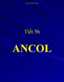 Bài giảng điện tử môn hóa học: ancol_2