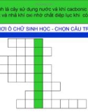 Bài giảng điện tử môn sinh học: tổng kết về cây có hoa