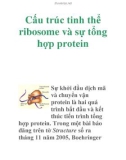 Cấu trúc tinh thể ribosome và sự tổng hợp protein