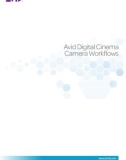 Avid Digital Cinema Camera Workflows