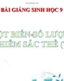 Bài giảng Sinh học 9 bài 24: Đột biến số lượng nhiễm sắc thể (tiếp theo)