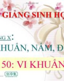 Bài giảng Sinh học 6 bài 50: Vi khuẩn