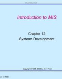 Lecture Management information systems: Solving business problems with information technology – Chapter 12