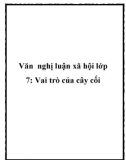 Văn nghị luận xã hội lớp 7: Vai trò của cây cối