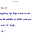 Bài giảng Sinh học 10: Bài 44 - Sự nhân lên của virut trong tế bào chủ