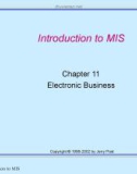 Lecture Management information systems: Solving business problems with information technology – Chapter 11