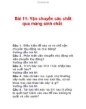 Bài 11: Vận chuyển các chất qua màng sinh chất