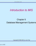 Lecture Management information systems: Solving business problems with information technology – Chapter 6