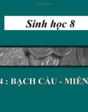 Bài giảng Sinh học 8 bài 14: Bạch cầu - Miễn dịch