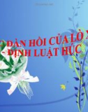 Bài 12: Lực đàn hồi của lò xo. Định luật Húc - Bài giảng điện tử Vật lý 10 - T.Đ.Lý