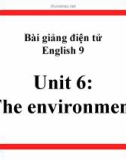 Bài giảng Tiếng Anh 9 unit 6: The environment