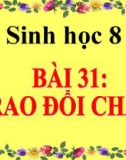 Bài giảng Sinh học 8 bài 31: Trao đổi chất