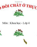 Slide bài Trao đổi chất ở thực vật - Khoa học 4 - GV.B.N.Kha