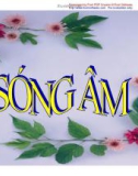 Bài giảng: Sóng âm