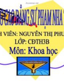 Bài giảng điện tử môn hóa học: sắt, gang, thép