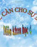 Bài giảng Nước cần cho sự sống - Khoa học 4 - GV. N.T.Sỹ