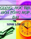 Bài giảng Sinh học 12 bài 26: Thuyết tiến hóa tổng hợp hiện đại