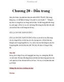 Chương 20 - Đầu trang