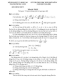 Đề thi chọn HSG cấp tỉnh lớp 9 môn Toán năm học 2010 - 2011 - Sở GD&ĐT Đà Nẵng