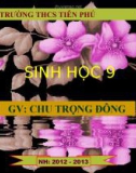 Bài 3: LAI MỘT CẶP TÍNH TRẠNG (TT)