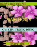 Tiết 4 : LAI HAI CẶP TÍNH TRẠNG