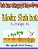 Bài giảng điện tử môn sinh học: Lớp 2 lá mầm và một lá mầm