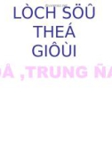 Bài giảng điện tử môn lịch sử: Trung quốc thời phong kiến