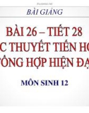 Bài giảng Sinh học lớp 12 bài 26: Thuyết tiến hóa tổng hợp hiện đại