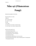 Vi sinh vật - Nấm sợi (Filamentous Fungi)