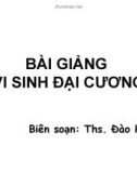 BÀI GIẢNG VI SINH ĐẠI CƯƠNG