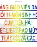 Bài giảng Sinh học 11 - Bài 38: Các nhân tố ảnh hưởng đến sinh trưởng, phát triển ở động vật