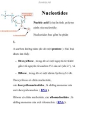 Nucleotides