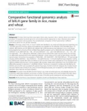 Comparative functional genomics analysis of bHLH gene family in rice, maize and wheat