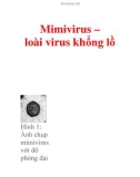 Mimivirus – loài virus khổng lồ