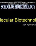 Molecular Biotechnology-Lession 1