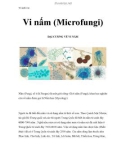 Vi sinh vật - Vi nấm (Microfungi)