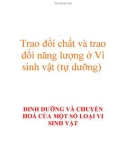 Trao đổi chất và trao đổi năng lượng ở Vi sinh vật (tự dưỡng)