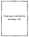 Tham quan vườn bách thú San Diego – Mỹ