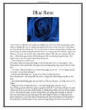 Blue Rose