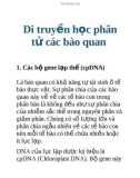 Di truyền học phân tử các bào quan