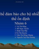 Cơ chế ổn định nhiễm sắc thể