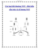 Các loại bất thường NST - Đột biến cấu trúc và số lượng NST