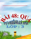 Bài giảng Qủa - Tự nhiên xã hội 3- GV. Đ.T.Lý