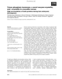 Báo cáo khoa học: Triose phosphate isomerase, a novel enzyme-crystallin, and s-crystallin in crocodile cornea High accumulation of both proteins during late embryonic development