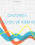 Chương 1: khái lược về kiểm soát