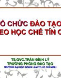 Bài giảng Tổ chức đào tạo theo học chế tín chỉ - TS.GVC. Trần Đình Lý