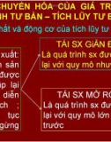 Sự chuyển hóa của giá trị thặng dư thành tư bản - Tích lũy tư bản