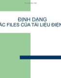 Bài giảng Định dạng các files của tài liệu điện tử